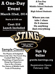 Sting 2014 Online Flyer